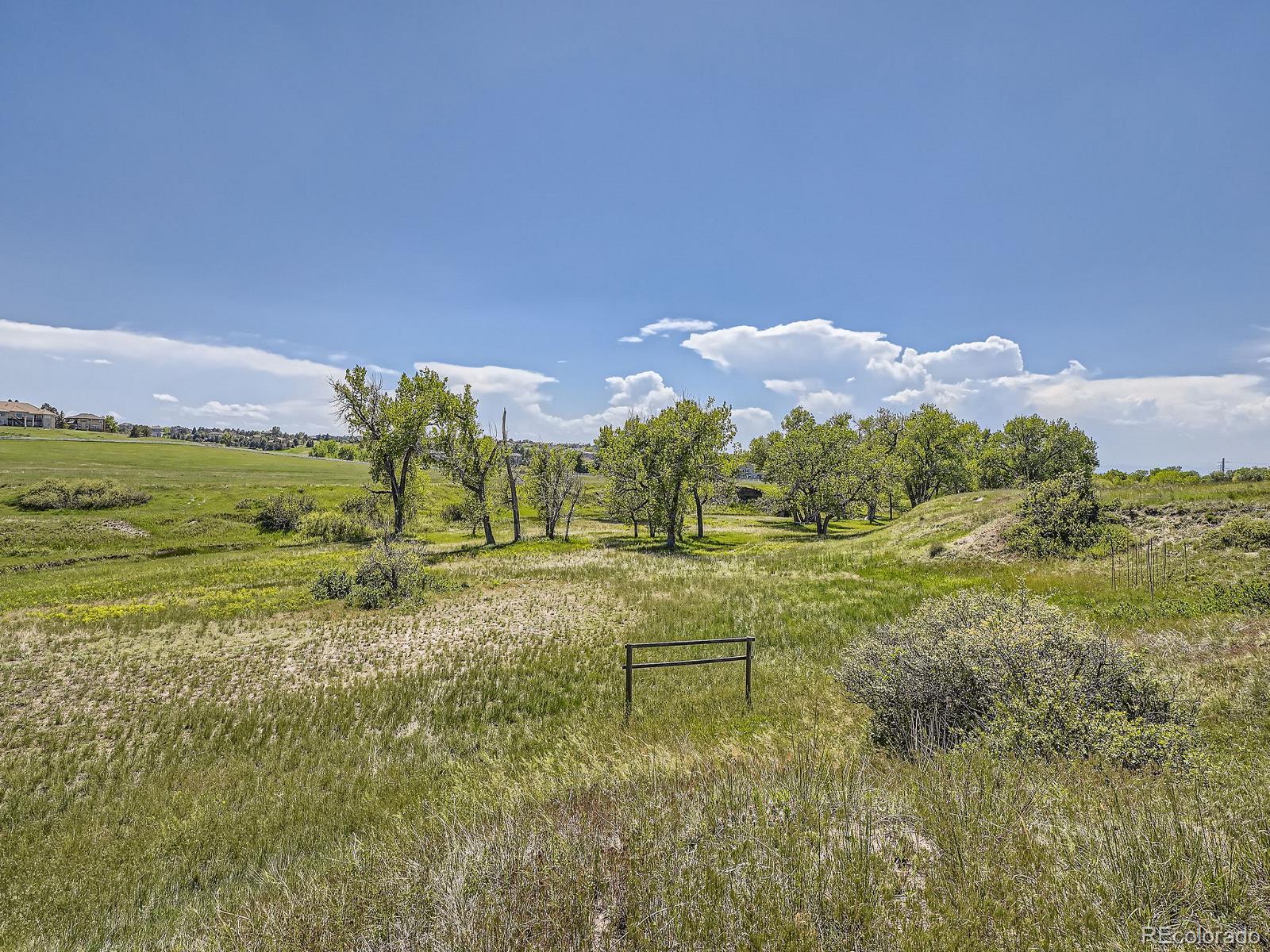 10443 Tomahawk Road Parker, CO 80138 - Photo 19 of 38