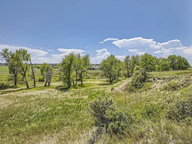 a living room with a fireplace and wooden floor