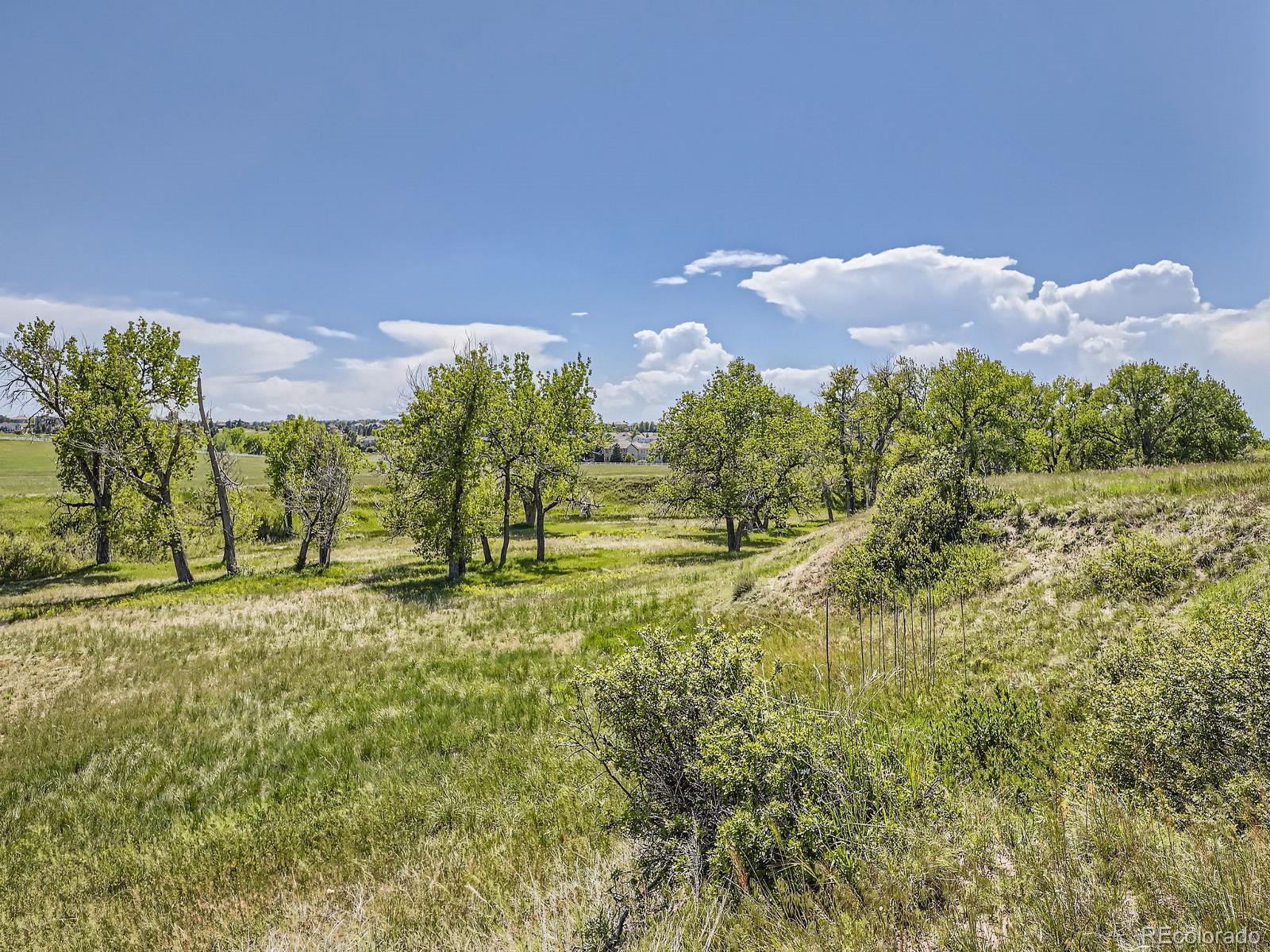 10443 Tomahawk Road Parker, CO 80138 - Photo 21 of 38