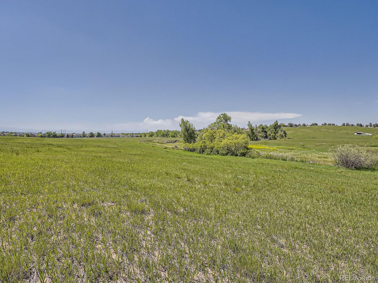 10443 Tomahawk Road Parker, CO 80138 - Photo 24 of 38