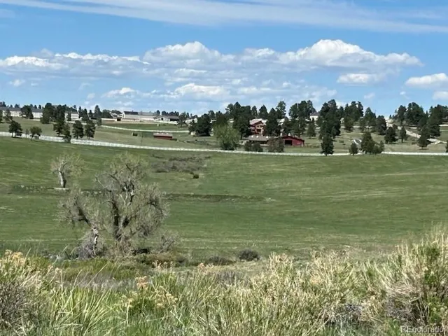 a view of a field with an trees