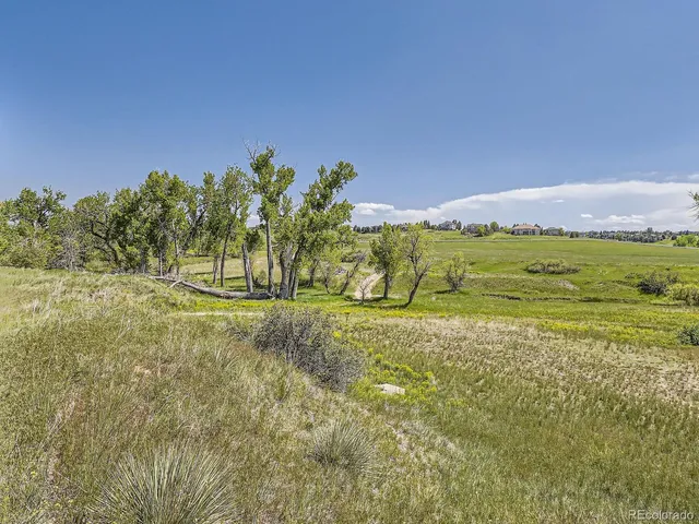 a view of an ocean from a yard