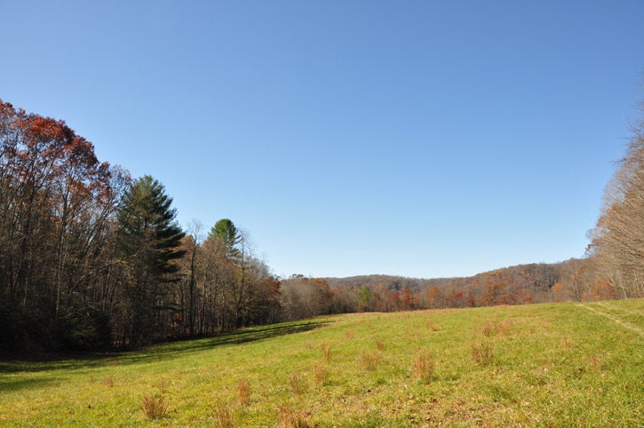 500 Julia Road Renick, WV 24966 - Photo 20 of 20 This is a pretty meadow that produces several loads of hay each year.