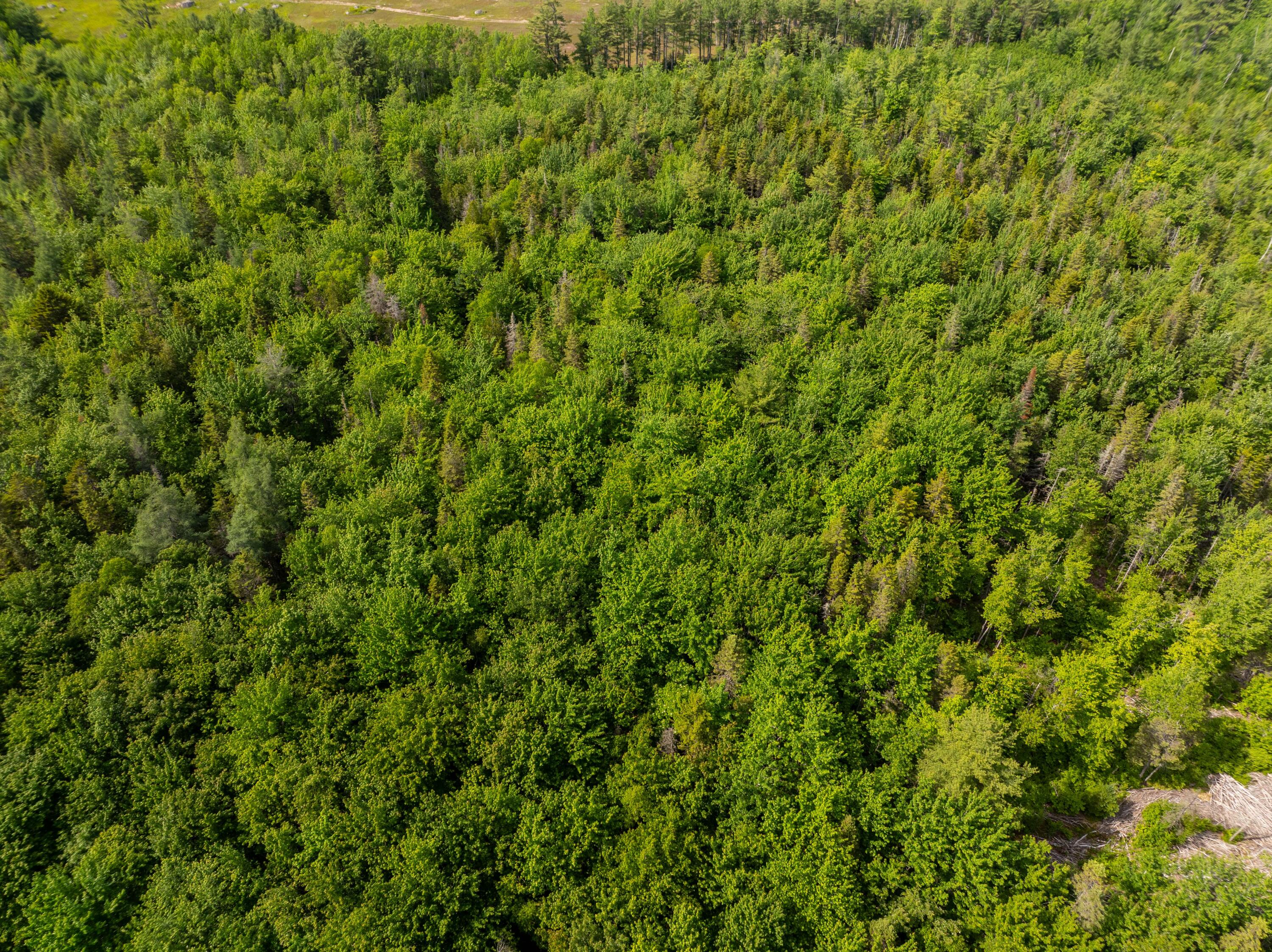 Lot #28 Station Road Jonesboro, ME 04648 - Photo 15 of 26 6-17-26 Station Rd Lot Jonesboro (5 of 2