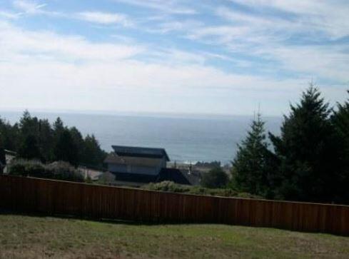 20 Parkview Road Whitethorn, CA 95589 - Photo 2 of 6
