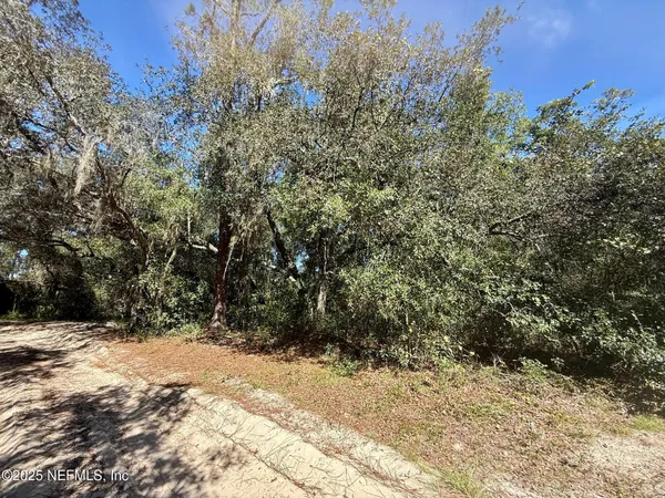 a view of tree