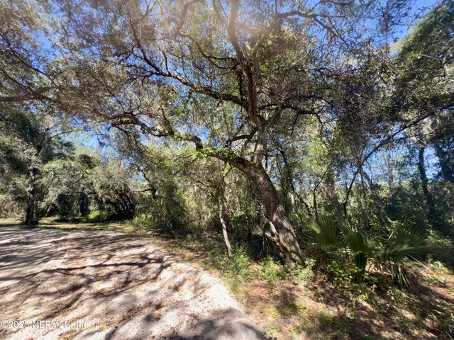 a view of a yard with a tree