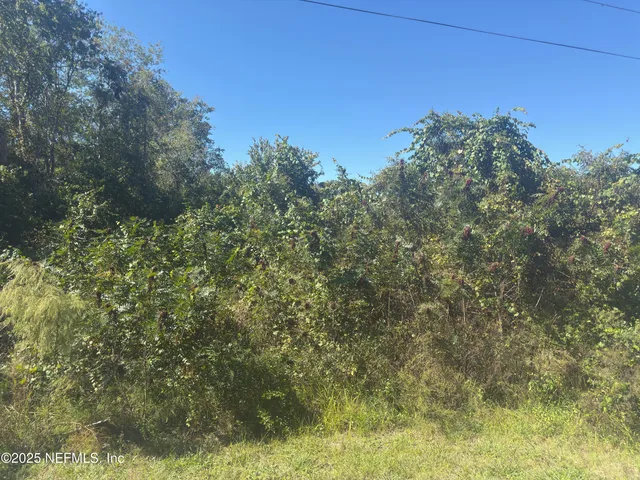 a view of a yard with an outdoor space