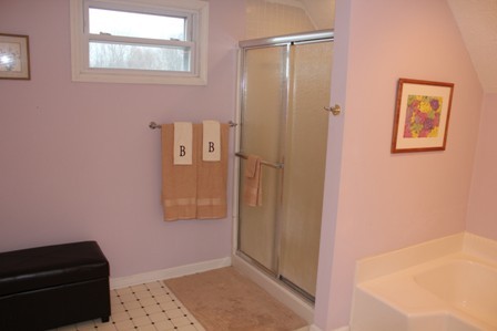 25 Riverside Drive Rocky Mount, VA 24151 - Photo 22 of 33 Master Bath (pic3)