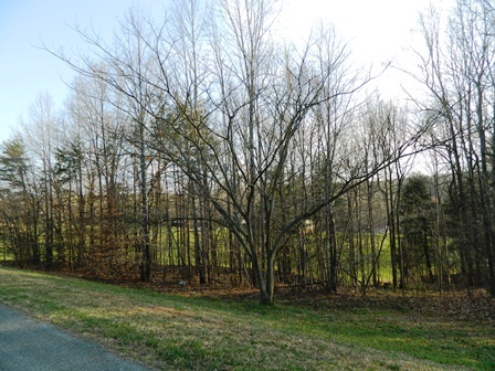 25 Riverside Drive Rocky Mount, VA 24151 - Photo 4 of 33 Lot 19