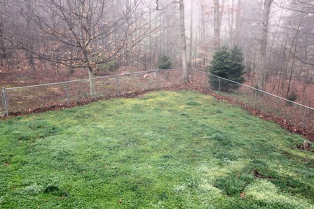 25 Riverside Drive Rocky Mount, VA 24151 - Photo 31 of 33 Partially Fenced Yard