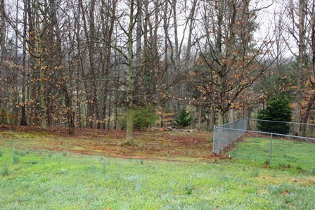 25 Riverside Drive Rocky Mount, VA 24151 - Photo 33 of 33 Left Side Yard
