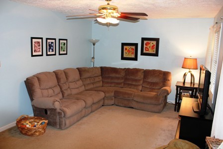 25 Riverside Drive Rocky Mount, VA 24151 - Photo 7 of 33 Living Room (pic2)