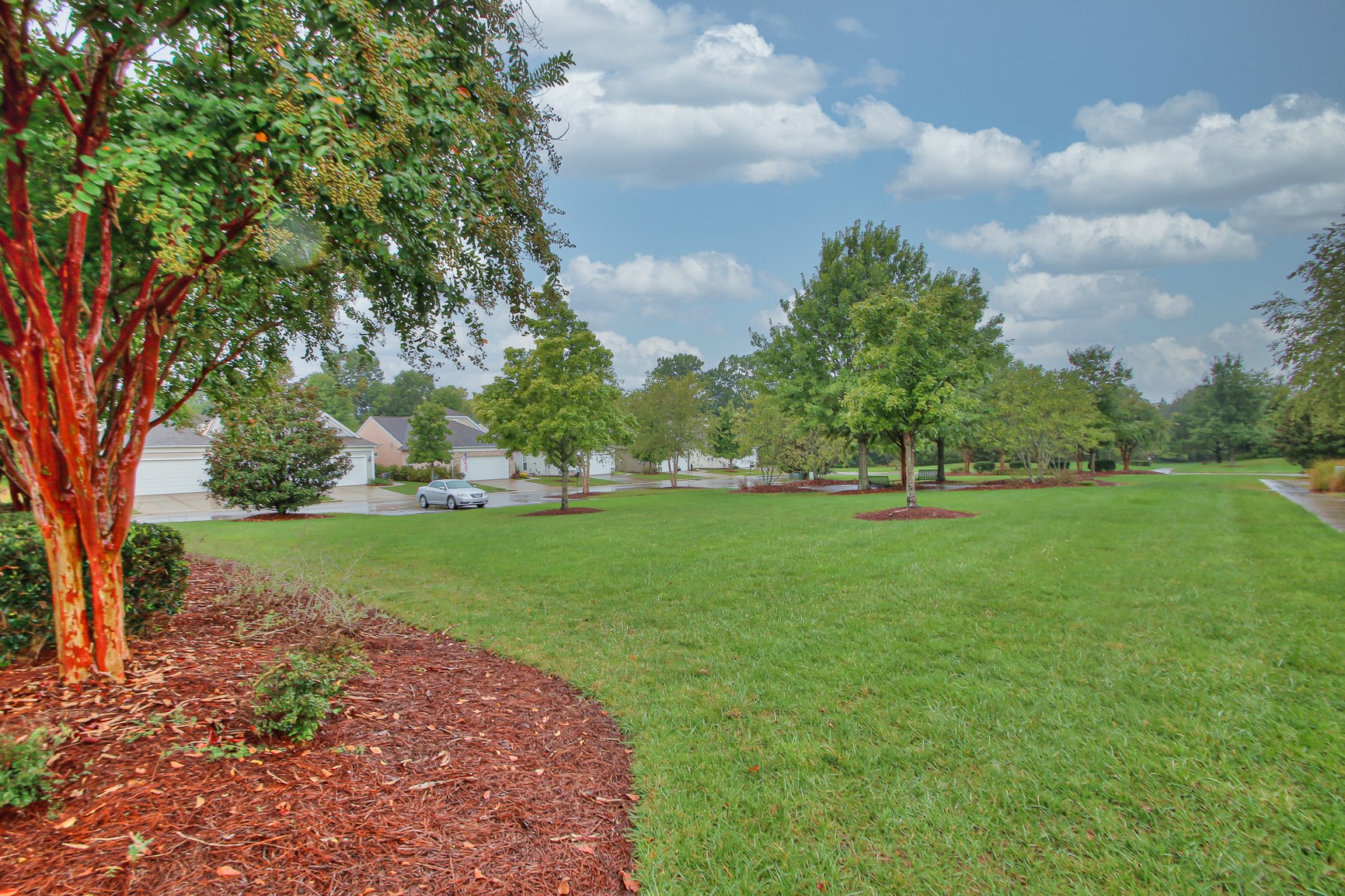 396 Blockade Lane Mount Juliet, TN 37122 - Photo 24 of 30 a view of green field