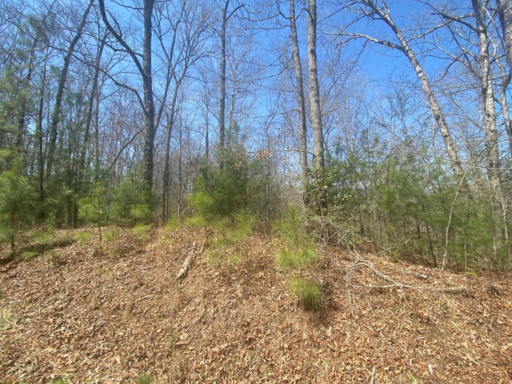 0 Hilltop Road Murphy, NC 28906 - Photo 15 of 16
