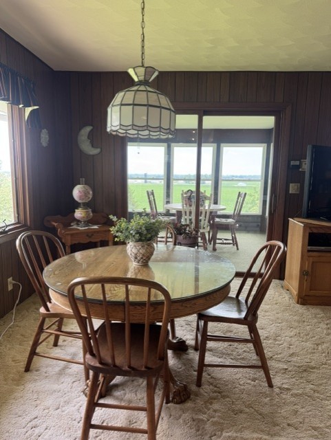 428 Overlook Court Geneseo, IL 61254 - Photo 18 of 55
