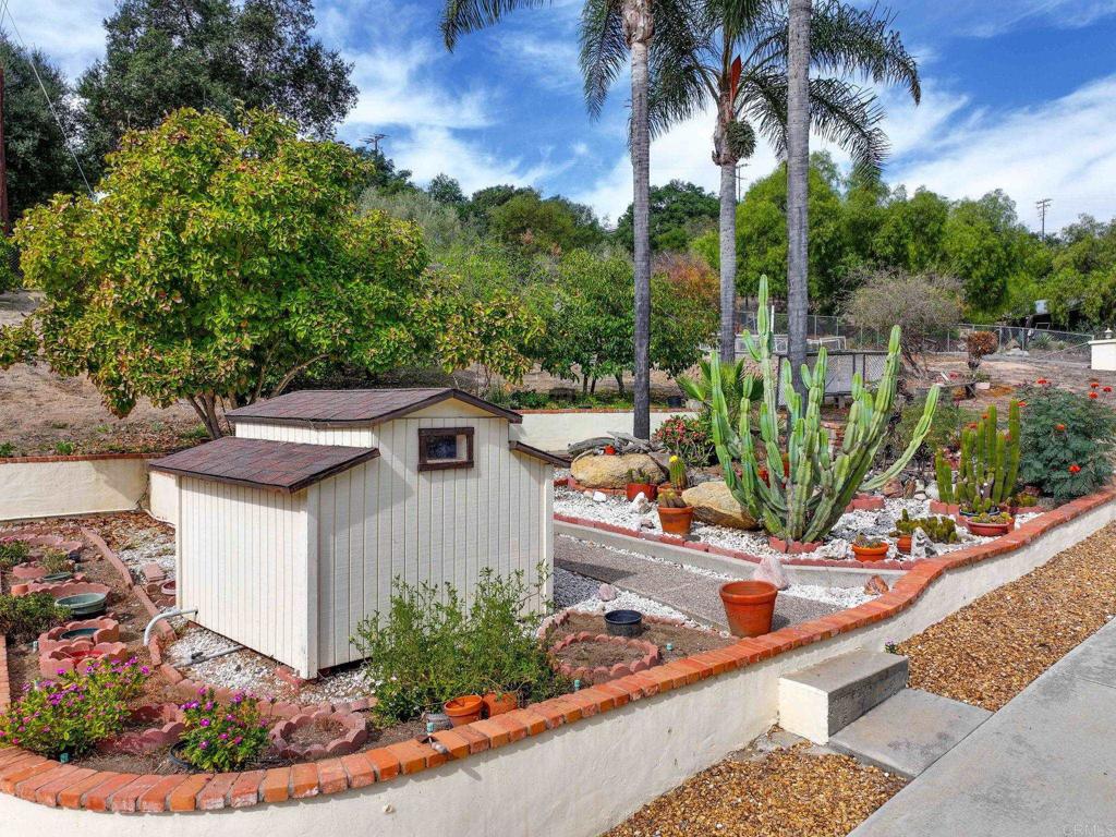 2573 Los Alisos South Fallbrook, CA 92028 - Photo 56 of 70 a view of a backyard with plants and palm trees