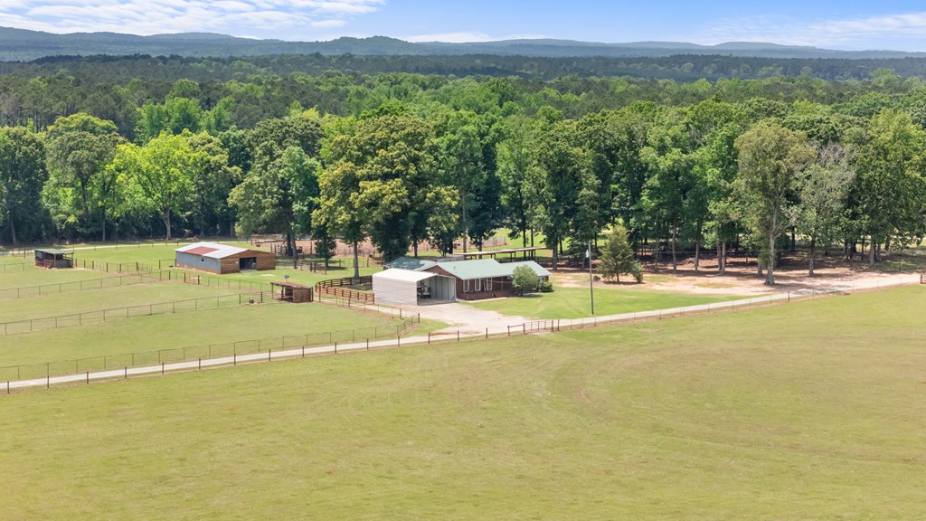 186 Beech Springs Road Pine Mountain, GA 31822 - Photo 6 of 59