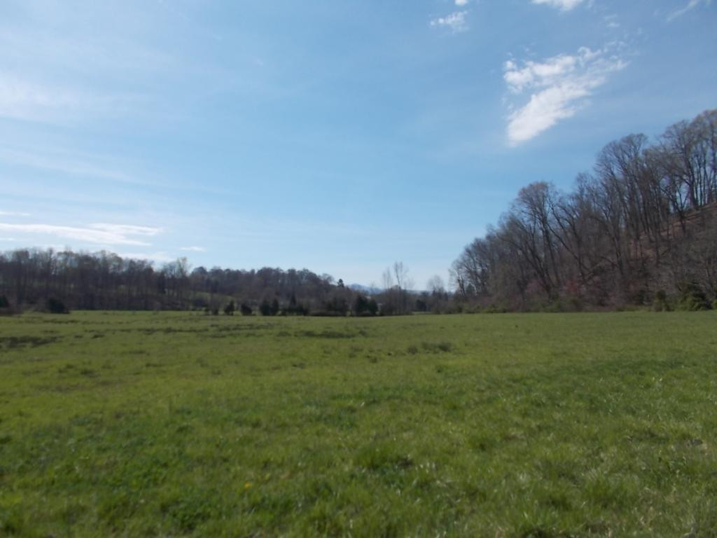4505 Afton Road Afton, TN 37616 - Photo 16 of 18 Photo 16