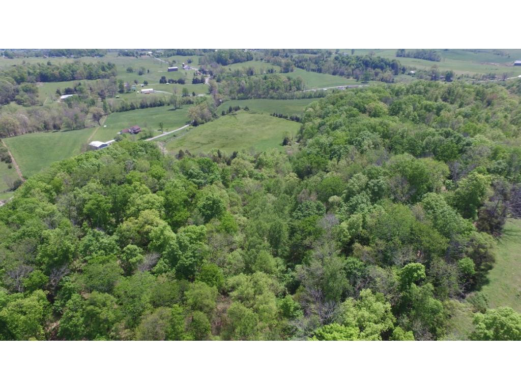4505 Afton Road Afton, TN 37616 - Photo 3 of 18 Photo 3