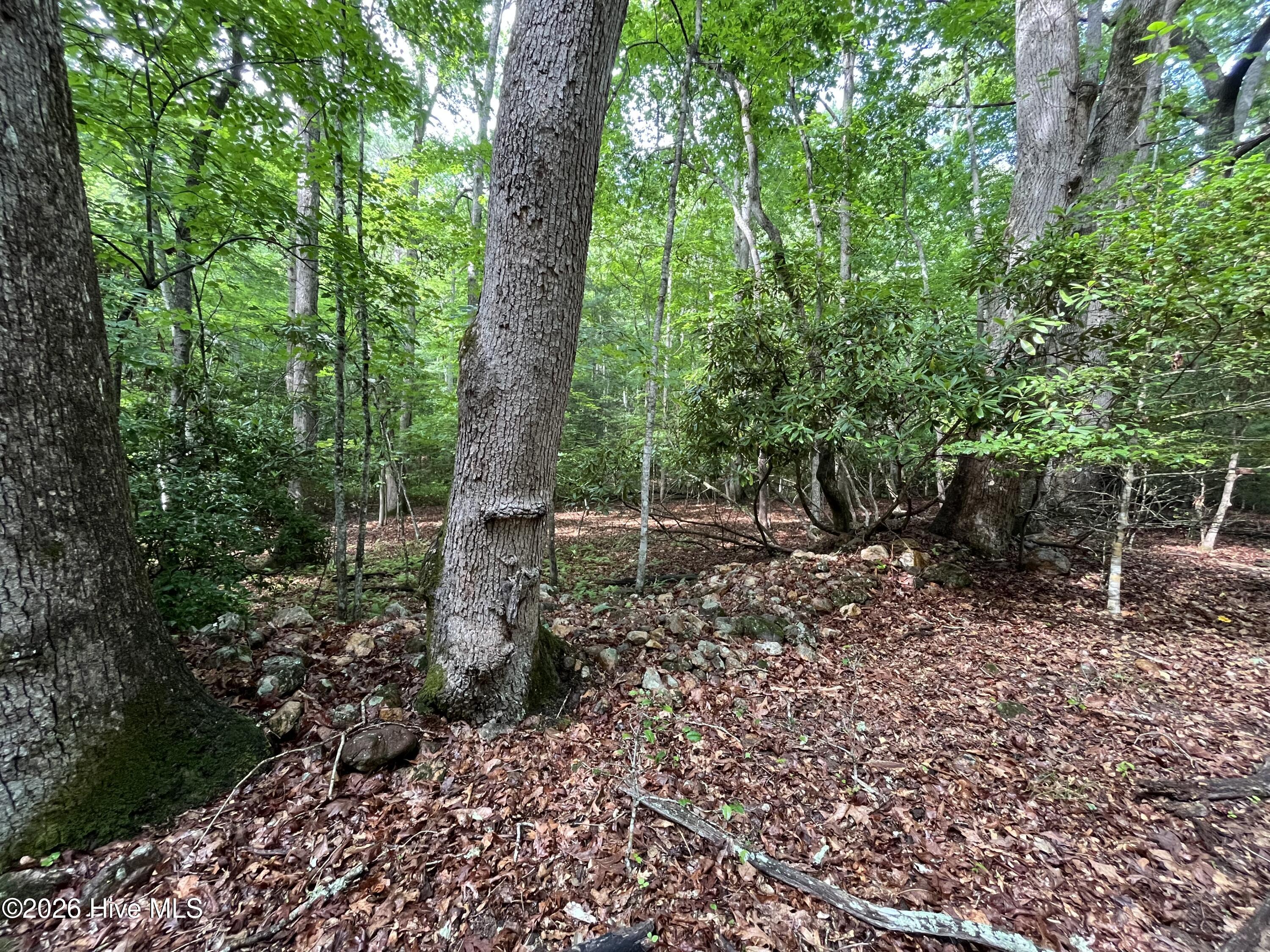365 Roberson Road Murphy, NC 28906 - Photo 54 of 59