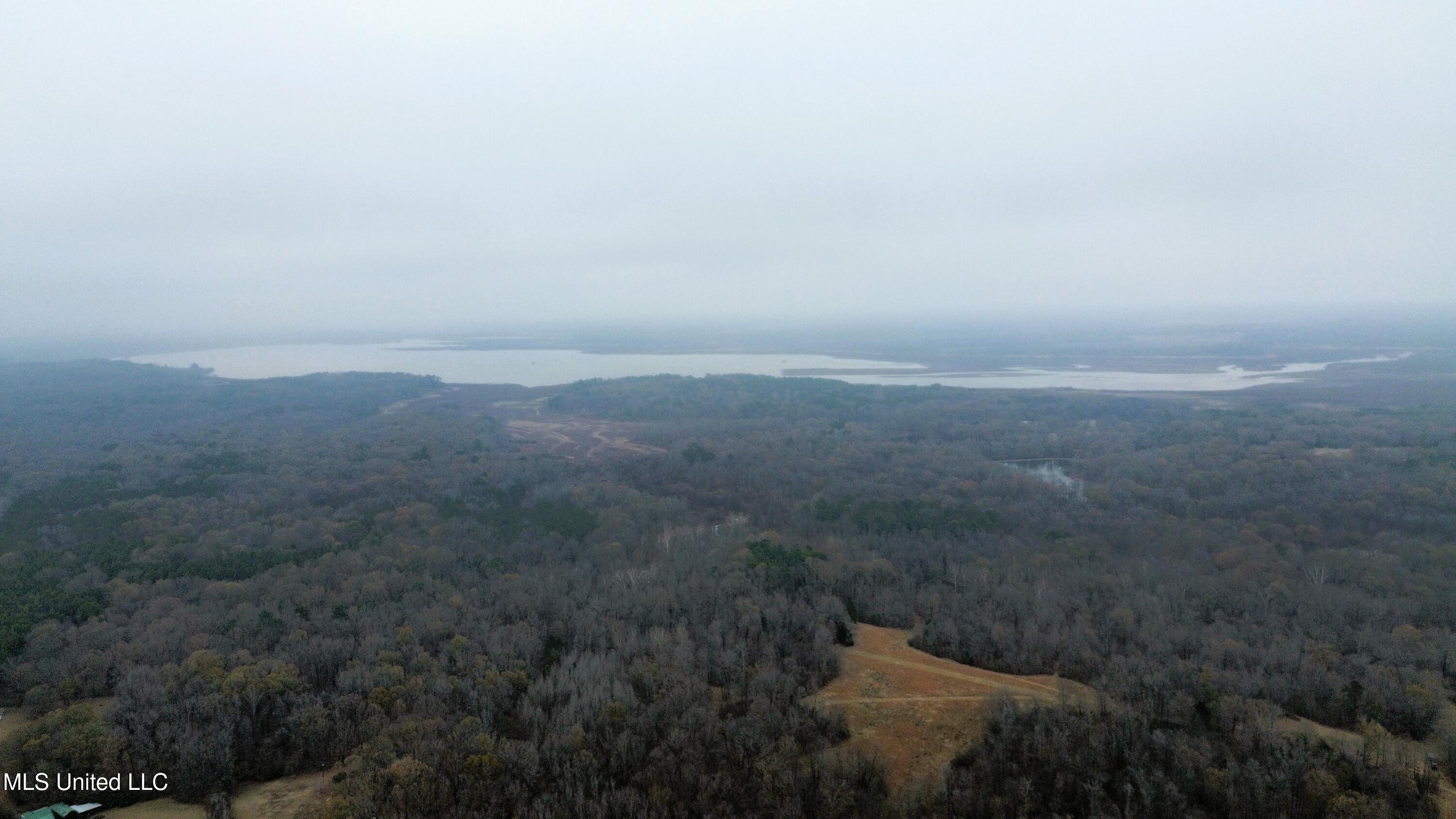 530 Arkabutla Dam Road Coldwater, MS 38618 - Photo 36 of 38 dji_fly_20251217_135824_305_176600056264