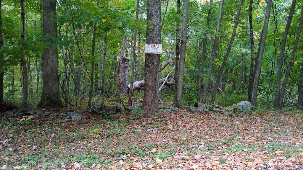 0 Chowanec Road Columbia, CT 06237 - Photo 1 of 12 a view of a yard in a forest