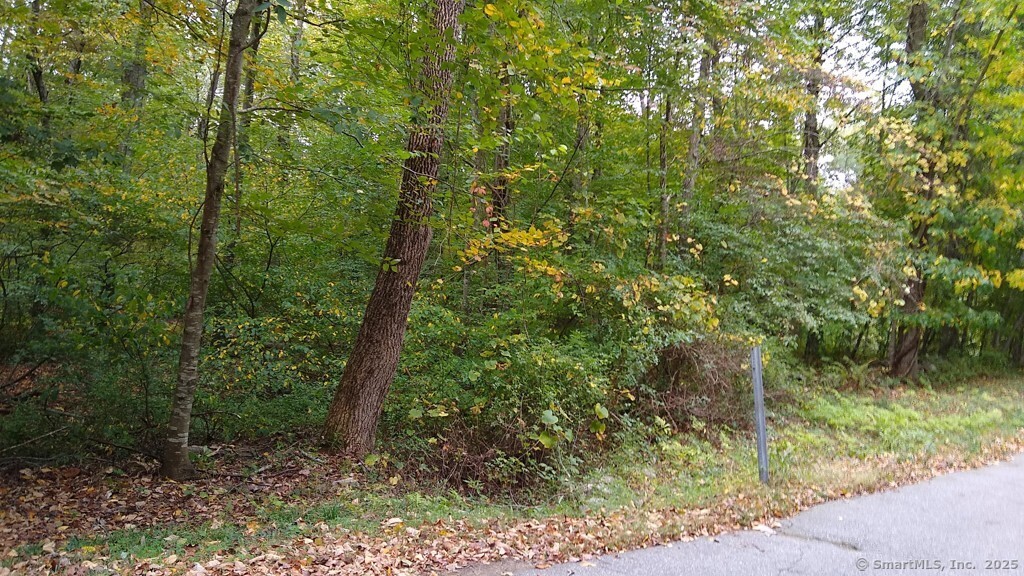 0 Chowanec Road Columbia, CT 06237 - Photo 11 of 12 a view of a forest with trees