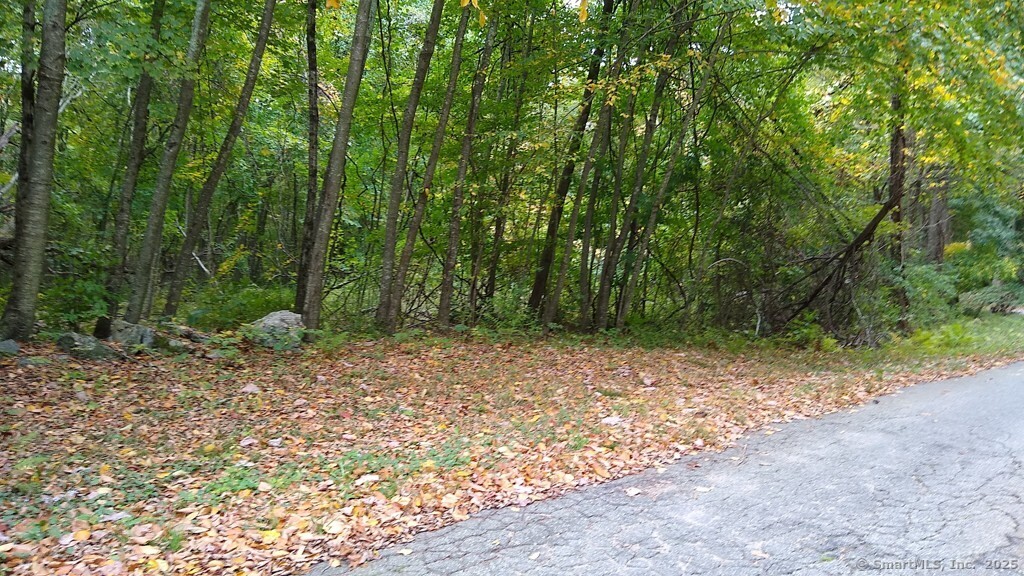 0 Chowanec Road Columbia, CT 06237 - Photo 2 of 12 a view of outdoor space with trees