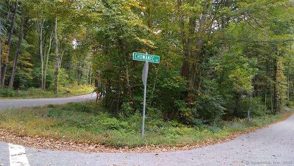 a flag is sitting in the middle of forest