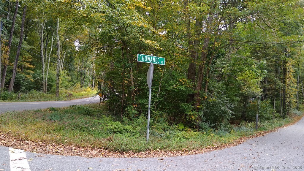 0 Chowanec Road Columbia, CT 06237 - Photo 4 of 12 a flag is sitting in the middle of forest