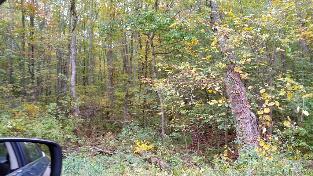 0 Chowanec Road Columbia, CT 06237 - Photo 5 of 12