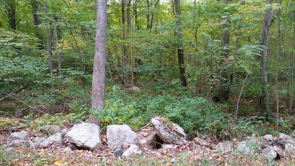 0 Chowanec Road Columbia, CT 06237 - Photo 6 of 12 a view of a garden with plants
