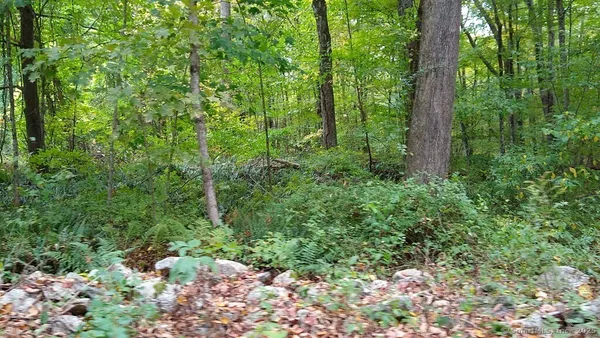 a backyard of a house with lots of green space and garden