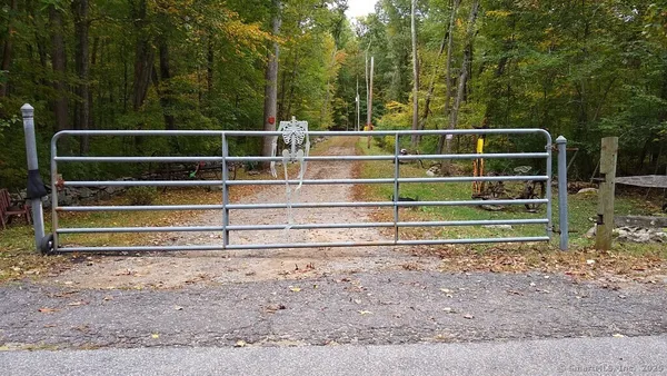 a view of a forest with trees