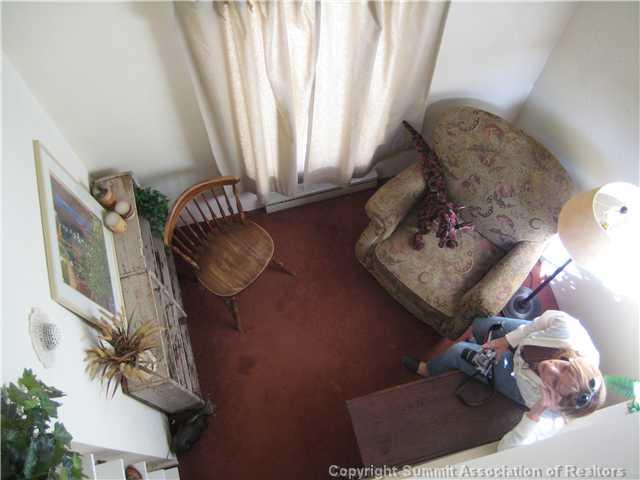 37 Rasor Court Keystone, CO 80435 - Photo 14 of 17 a picture of a rug