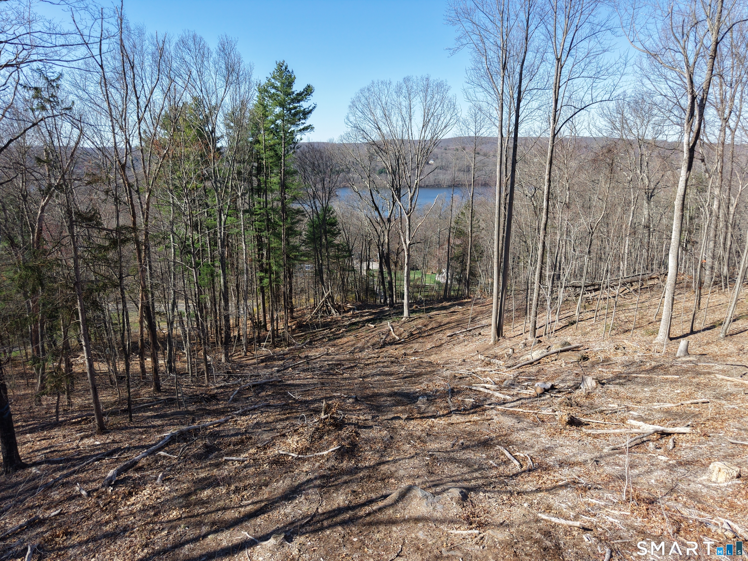 94 Injun Hollow Road Haddam, CT 06424 - Photo 11 of 17 a backyard of a house with lots of green space