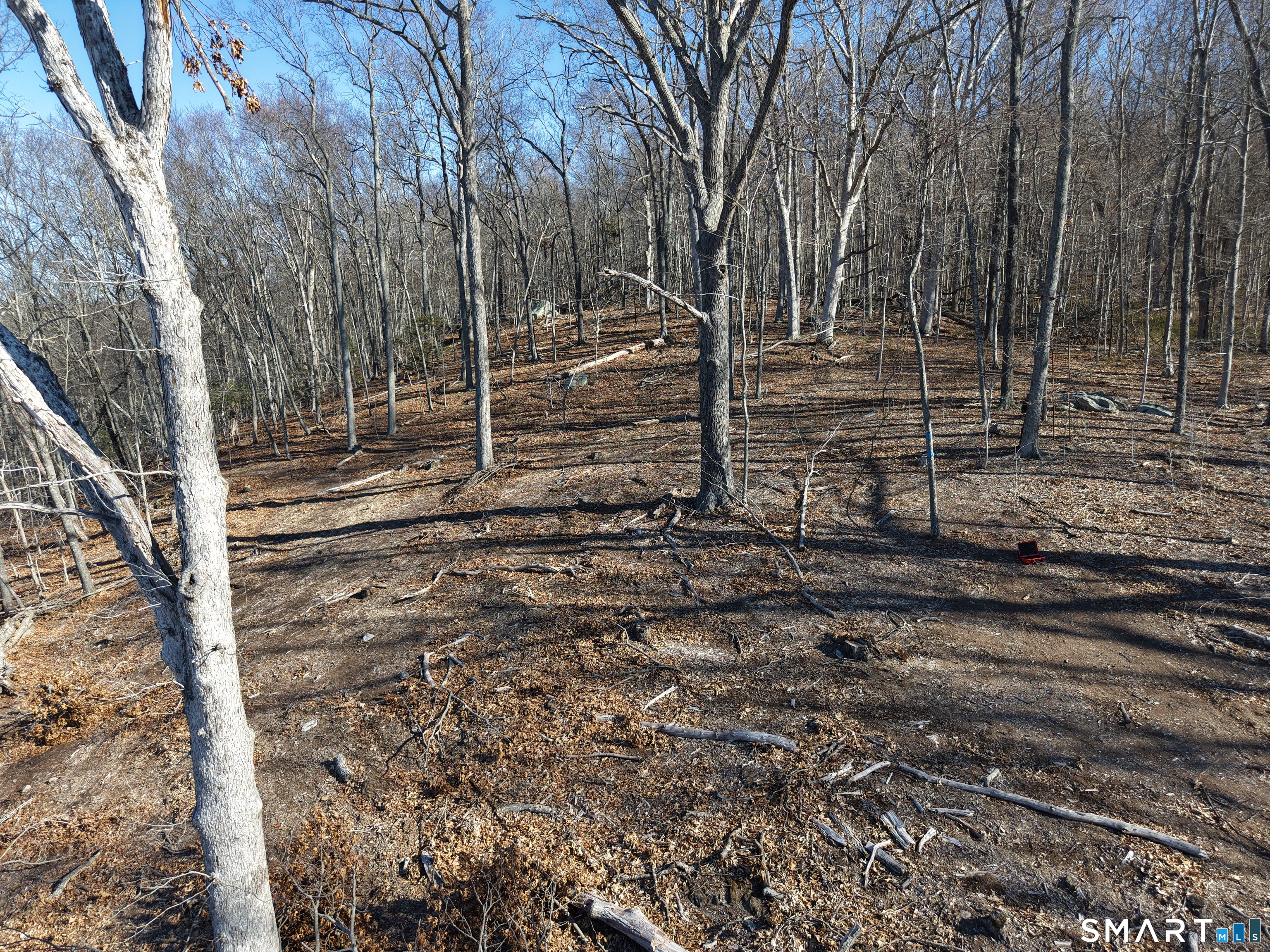 94 Injun Hollow Road Haddam, CT 06424 - Photo 12 of 17 a view of a yard with wooden fence