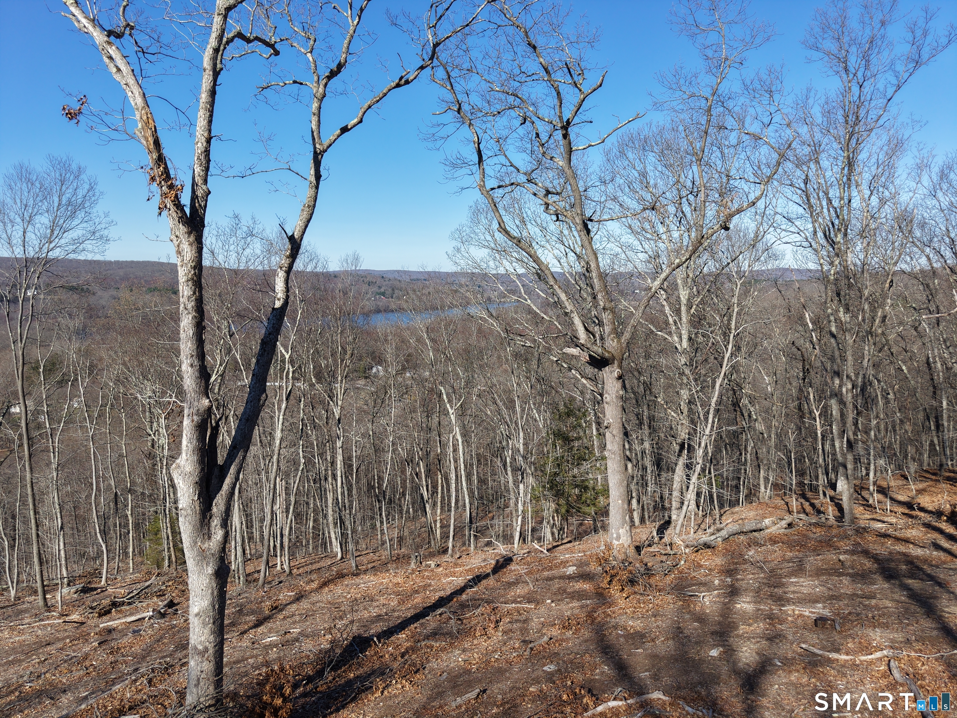 94 Injun Hollow Road Haddam, CT 06424 - Photo 14 of 17 a view of a backyard of the house