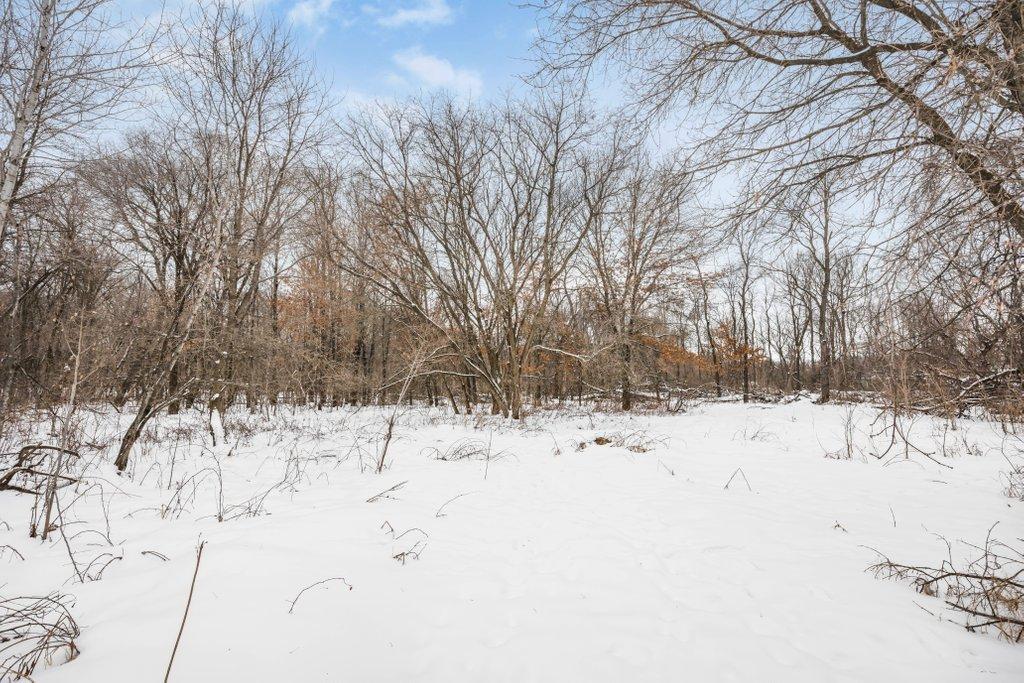 21856 Lake George Boulevard Anoka, MN 55303 - Photo 19 of 36