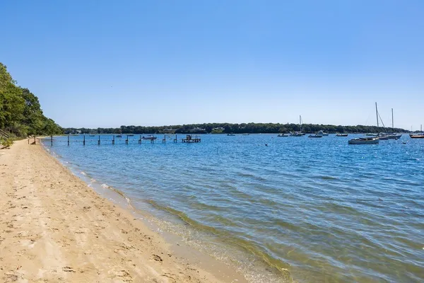 a view of a park with large trees