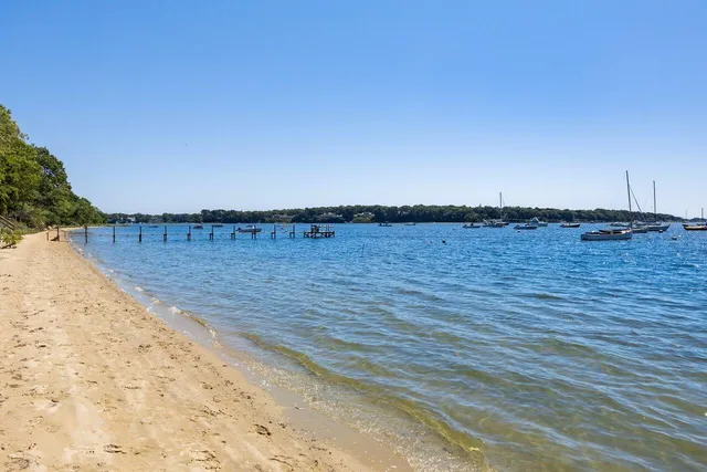 a view of a park with large trees