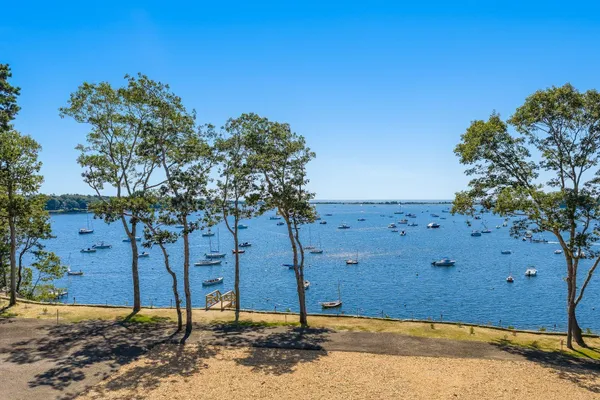 a view of a large tree with large tree