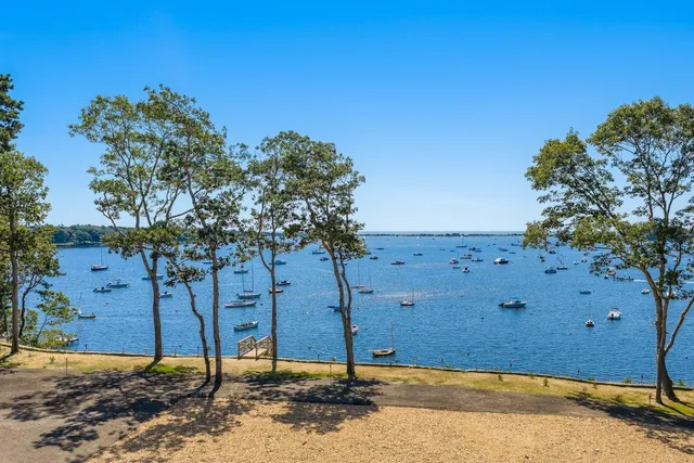 a view of a large tree with large tree