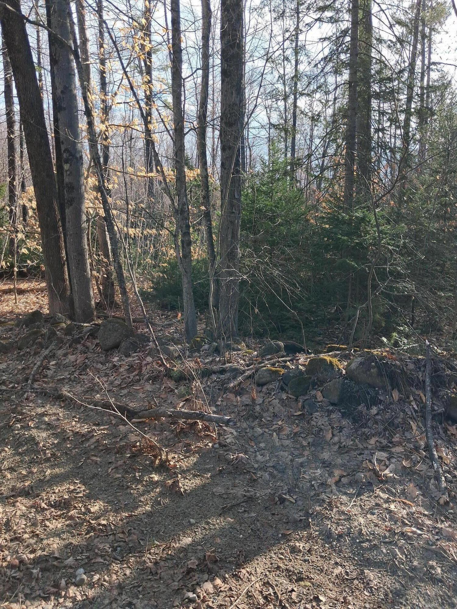 44 Zions Hill Road Chesterville, ME 04938 - Photo 4 of 8