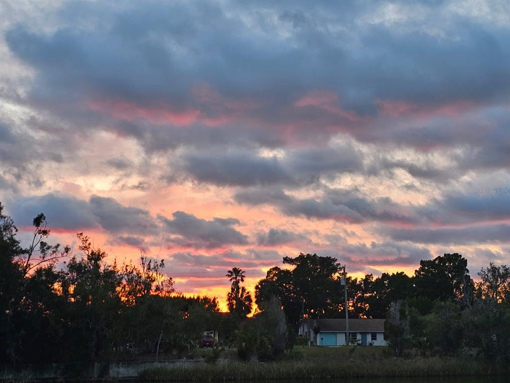 3243 Azalea Drive Hernando Beach, FL 34607 - Photo 36 of 47