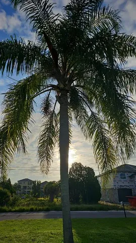 $374,900 | 3243 Azalea Drive, Hernando Beach, FL 34607