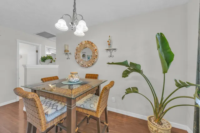a dining room with furniture potted plants and wooden floor