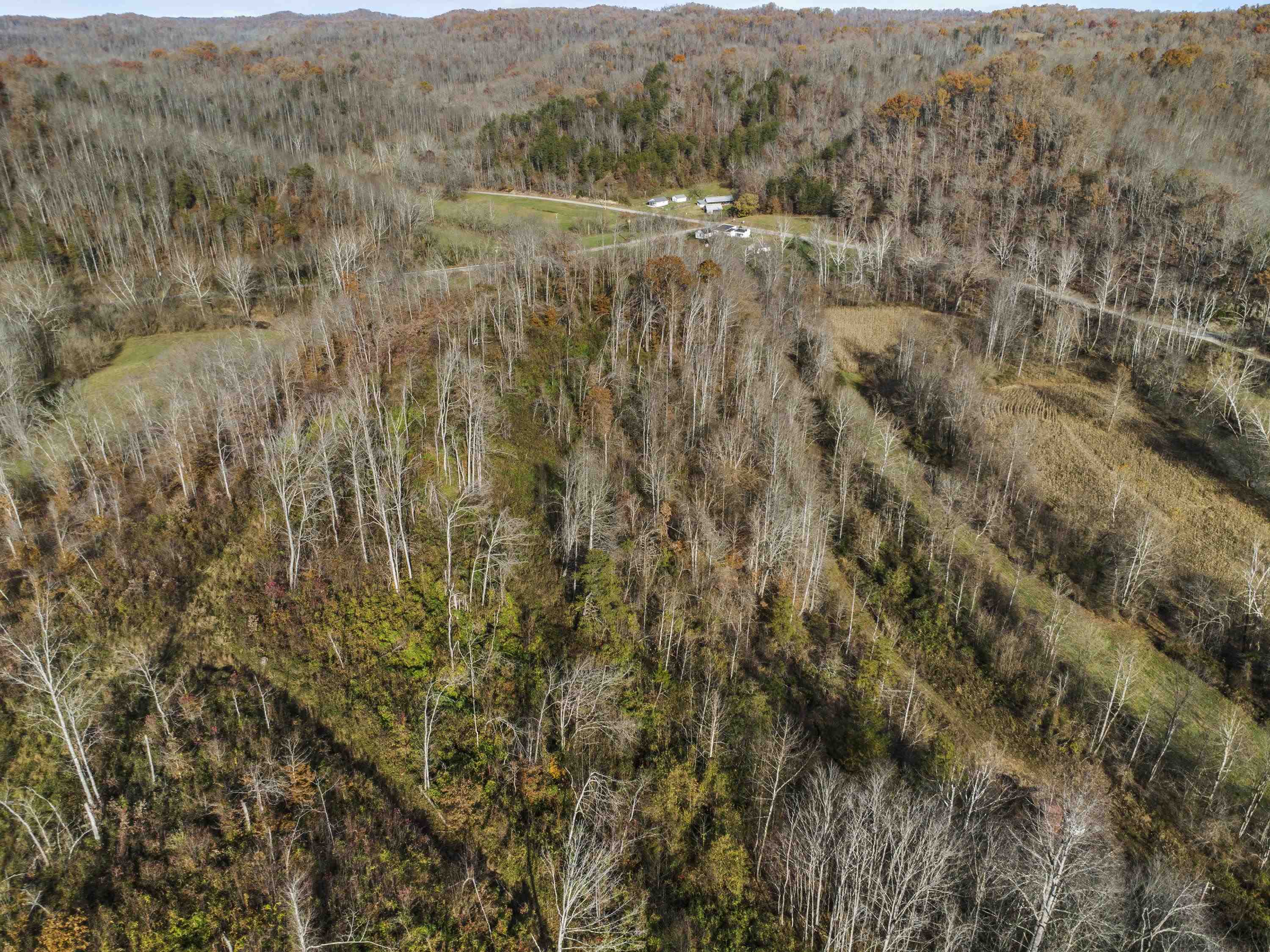 0 Tate Hollow Road Louisa, KY 41230 - Photo 3 of 50