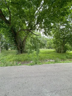 a view of a yard with a plants and trees in the background